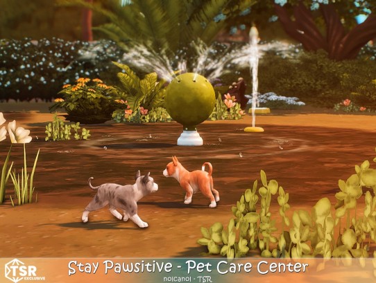 Sunset Pet Retreat - A Serene Haven for Your Beloved Companions